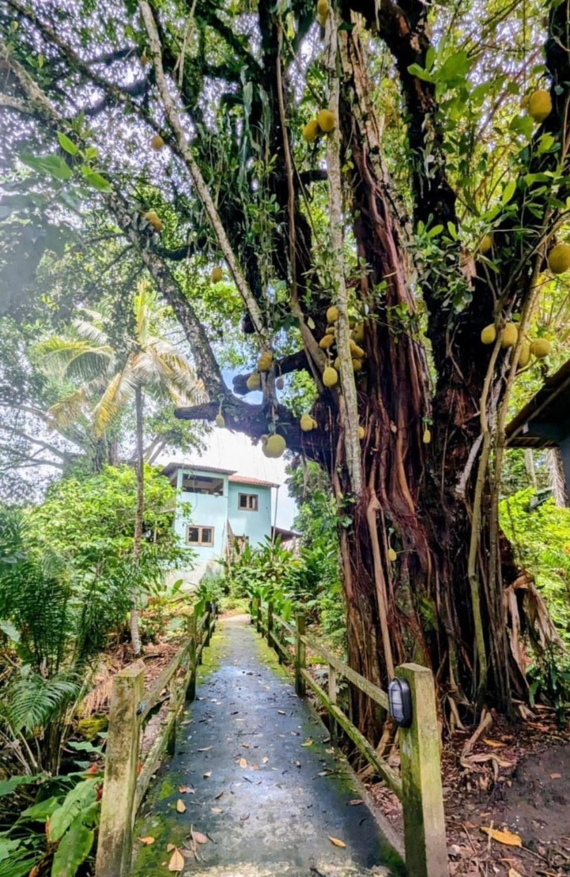 Alecrim Hostel E Pousada Velha Boipeba المظهر الخارجي الصورة